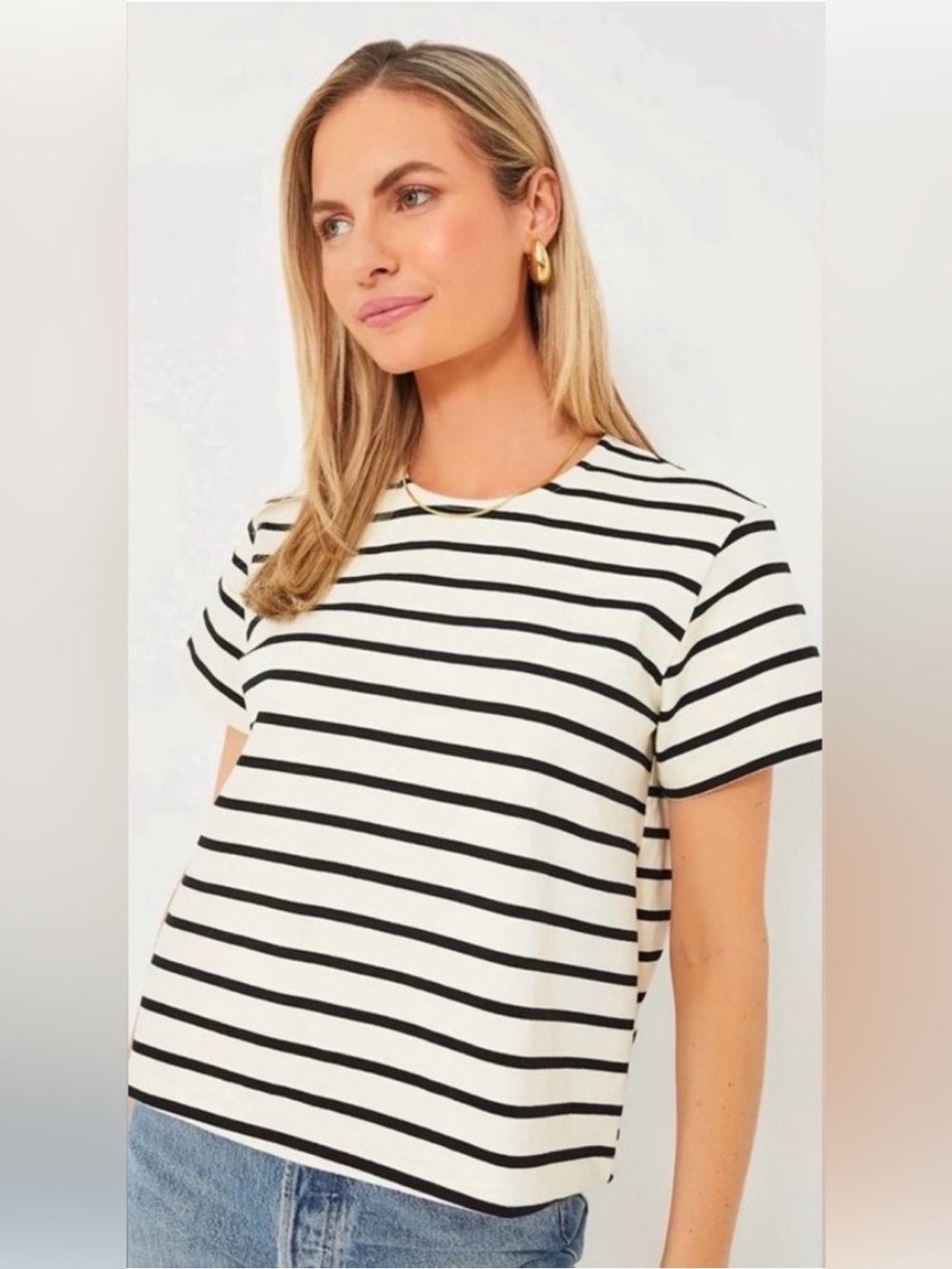 Tuckernuck Lucie Tee in Black Stripe Cropped Body Breton Crew